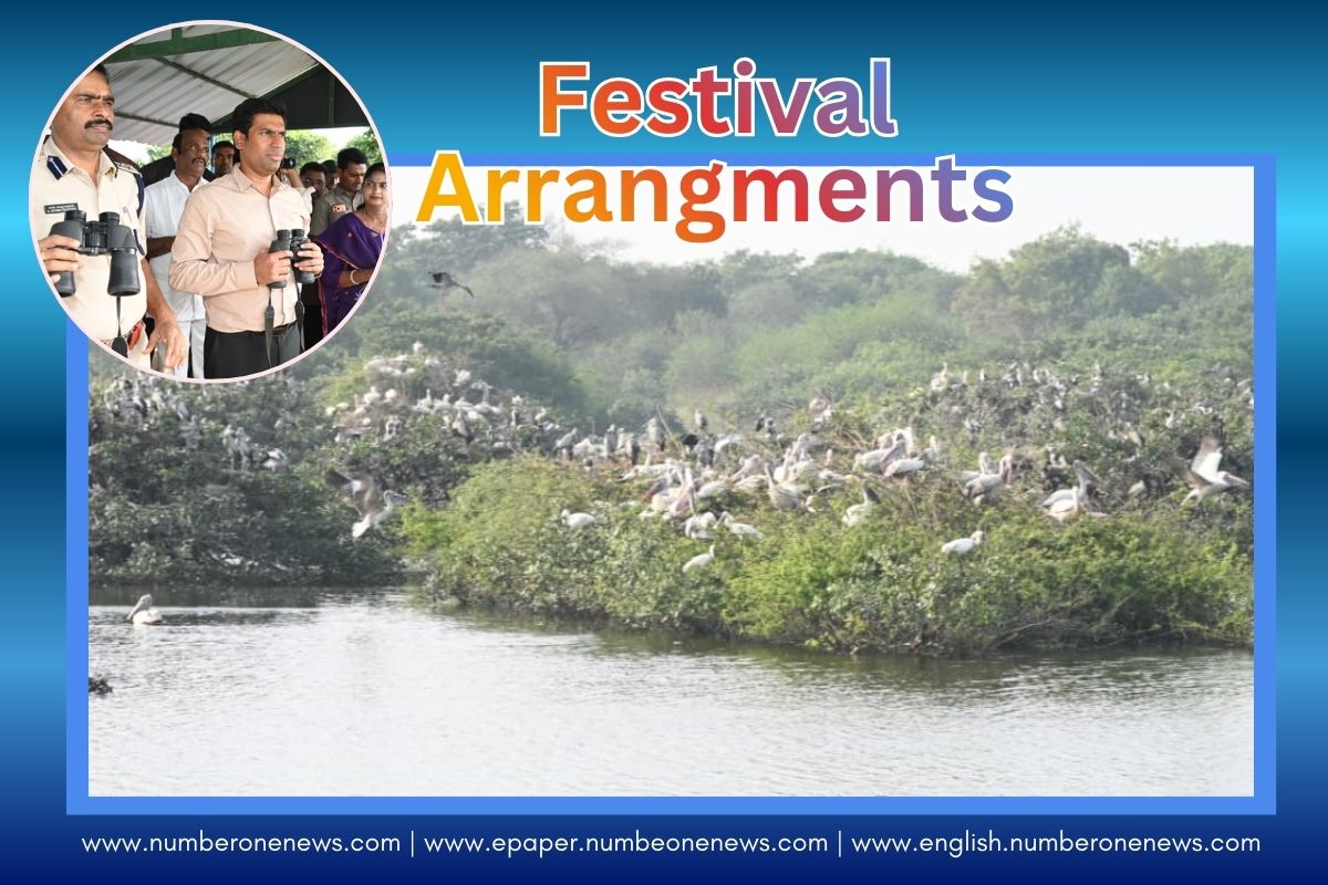Flamingo Festival 2026 to Be Held with Greater Grandeur at Pulicat Lake on January 10 and 11