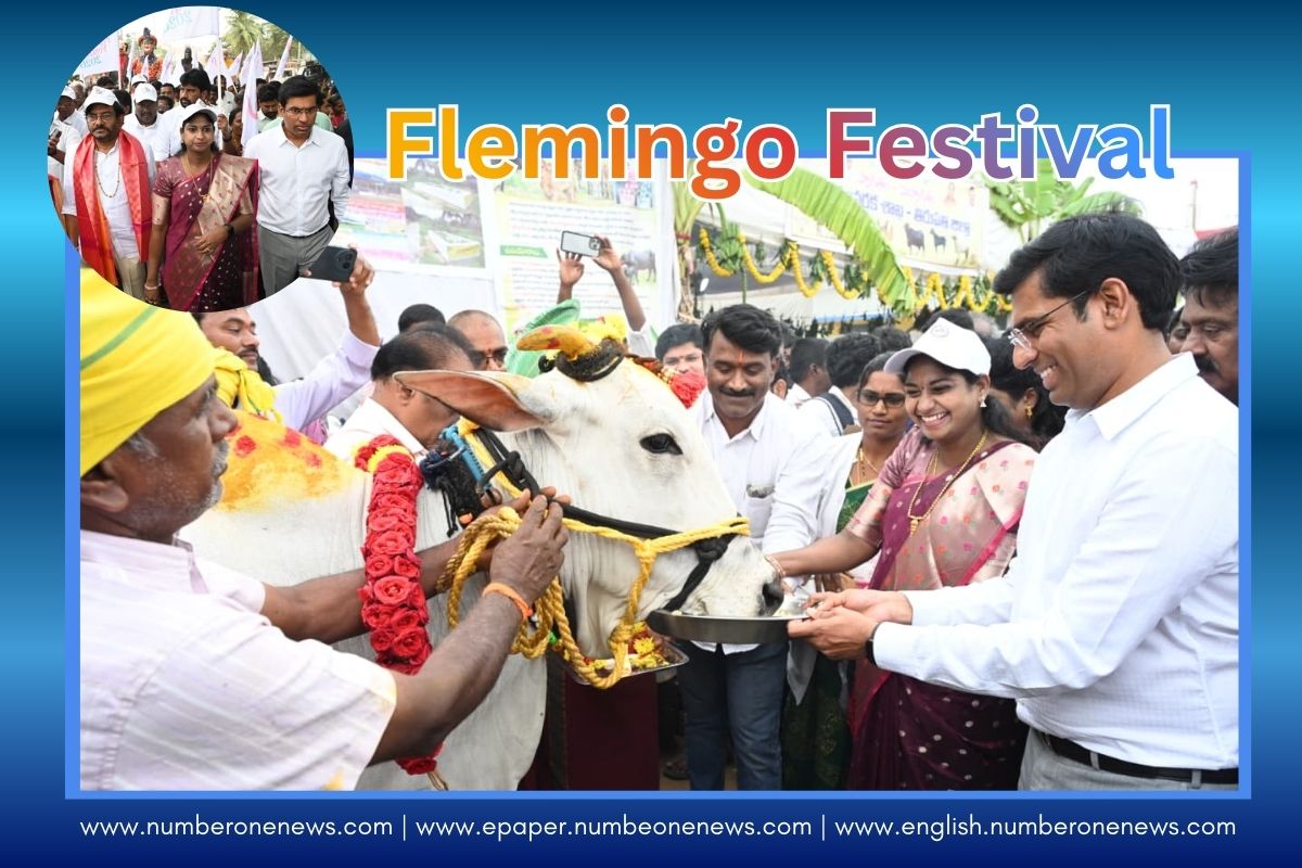 Flamingo Festival 2026 Begins with Grand Cultural Parade in Sullurpeta