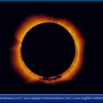 The Annular Solar Eclipse 2026 on February 17 will create a stunning “Ring of Fire” effect in several regions worldwide. The event will not be visible in India but can be watched online through live broadcasts.